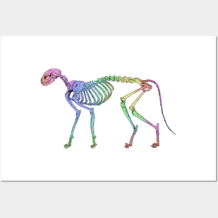 Cat Skeleton Rainbow Posters and Art